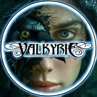 Telegram profile photo for Б̶̶К̶̶ "VALKYRIE"
