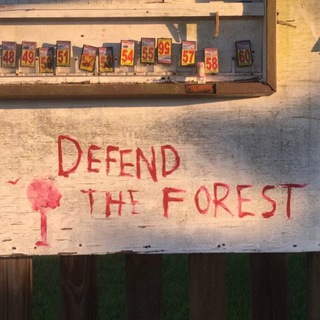 Telegram profile photo for Defend the Forest - Atlanta