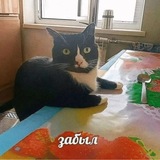 Telegram profile photo for юзы вертикса