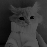 Telegram profile photo for Пруфы || зайчика