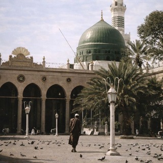 Telegram profile photo for مِشْكاةٌ•