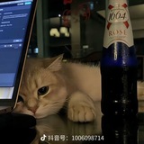 Telegram profile photo for yy公益