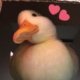 Telegram profile photo for Всё класс 👍