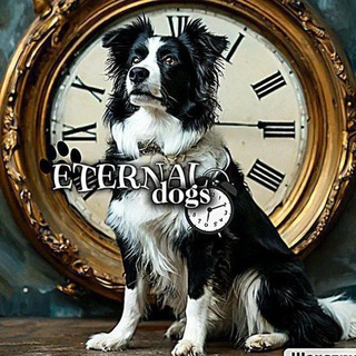 Telegram profile photo for 🐾 ᴇᴛᴇʀɴᴀʟ ᴅᴏɢs🐾