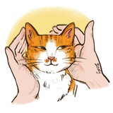 Telegram profile photo for Шмелик