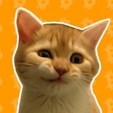 Telegram profile photo for Bitcoiner $SIRIUS CTO Portal