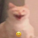 Telegram profile photo for КРЫШЕСНОСНАЯ КОММУНАЛКА // КОСБЕНД