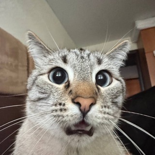 Telegram profile photo for КАМПЕТЫ(КАМПОТЫ)