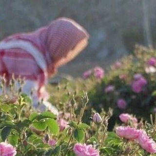 Telegram profile photo for طُمأنِينة |رُوح