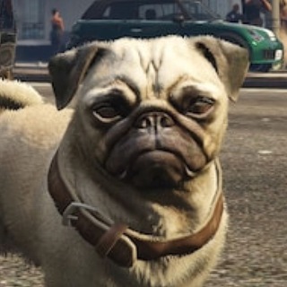 Telegram profile photo for GPUG VERIFY