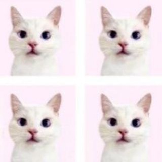 Telegram profile photo for ALL CATALOGUE, BONUS 500+ TUTOR