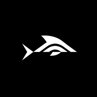 Telegram profile photo for pārsa trade