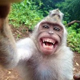 Telegram profile photo for СᴏчᴇᴋГᴩᴀд🐒🧃