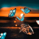 Telegram profile photo for کنج لحظهها🤍🦋