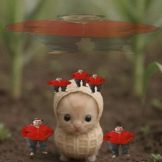 Telegram profile photo for Подпольные полевые меньшинства секретных сообществ календарей