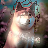 Telegram profile photo for Camp dogs