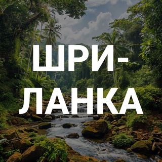 Telegram group profile photo for Шри-Ланка: отдых, погода, советы туристам