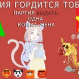 Telegram profile photo for KITAICILOL