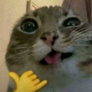 Telegram profile photo for Гамачок😯😮