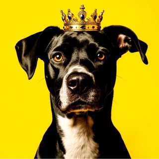 Telegram profile photo for Тёткин дом