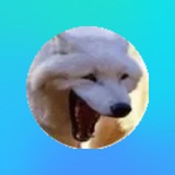Telegram profile photo for ๐ฎโ๐จ๐ฎโ๐จ