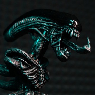 Telegram profile photo for THUJOY