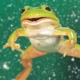 Telegram profile photo for С днём дня!!!