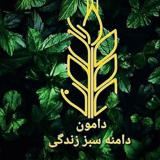 Telegram profile photo for Damoonltd
