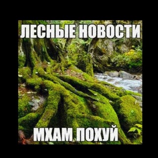 Telegram profile photo for Стабилизированный Мох
