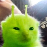 Telegram profile photo for !ПАПАЯ!1!^^