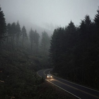 Telegram profile photo for Feeling Road
