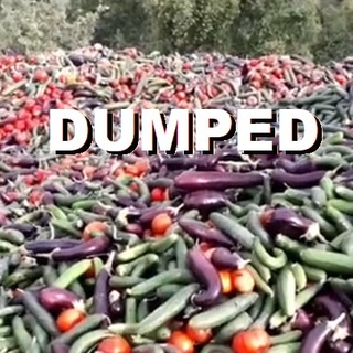 Telegram profile photo for Artificial Food/Supply Shortage?