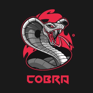 Telegram profile photo for Crypto Cobra