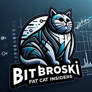 Telegram profile photo for ₿it Broski Crypto