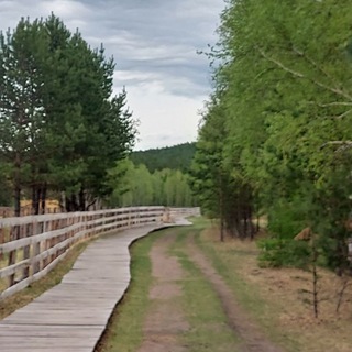 Telegram profile photo for "Читинский городской зоопарк"