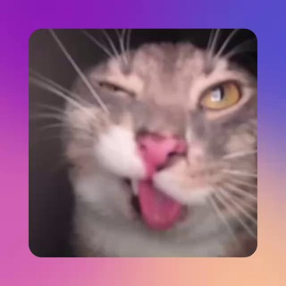 Telegram profile photo for Отзывы KYC SHOP EPIC