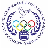 Telegram profile photo for СШОР Амурской области