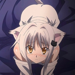 Telegram profile photo for Условия покупки (maiqqqq)