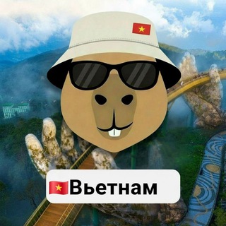 Telegram profile photo for Вьетнам 🇻🇳 чат Нячанг Дананг