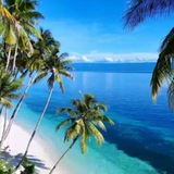 Telegram profile photo for 🌴Nature!🍁