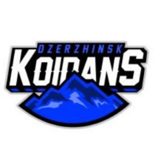 Telegram profile photo for Koidans Dzerzhinsk 🏈