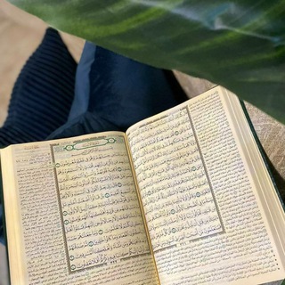 Telegram profile photo for مَلاذْ 🌿 .