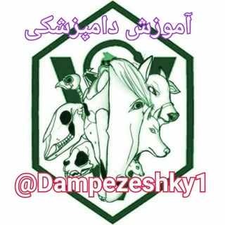 Telegram profile photo for 💊💉| آموزش دامپزشکی | 🧹💊
