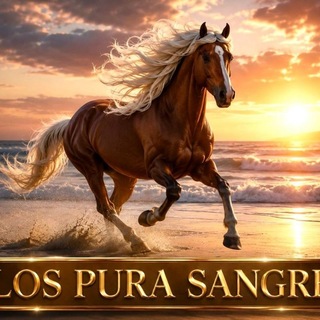 Telegram profile photo for LOS PURA SANGRE