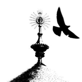 Telegram profile photo for هُدْهُدُ سُلَيْمَانَ