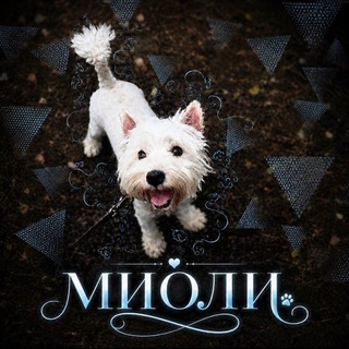 Telegram profile photo for миоли