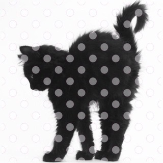Telegram profile photo for 🎼♥︎. moncherie : archive.