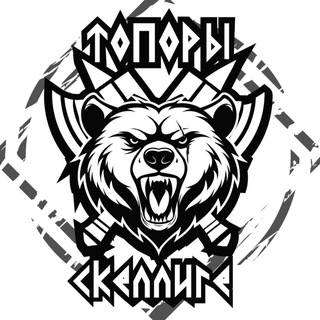 Telegram profile photo for Топоры Скеллиге!