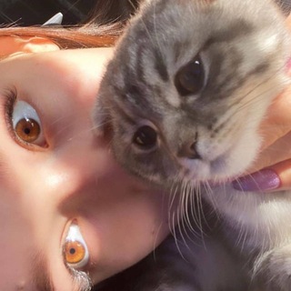 Telegram profile photo for 🩷Я С ЧАТА! лиза таченков с чата ниже фейки liza tachenkov ya_s_chata марина фукус marina_fukus тарталеткова lisatartaletkova