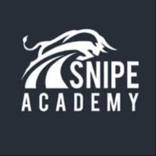 Telegram profile photo for Snipe Trading Pro π±